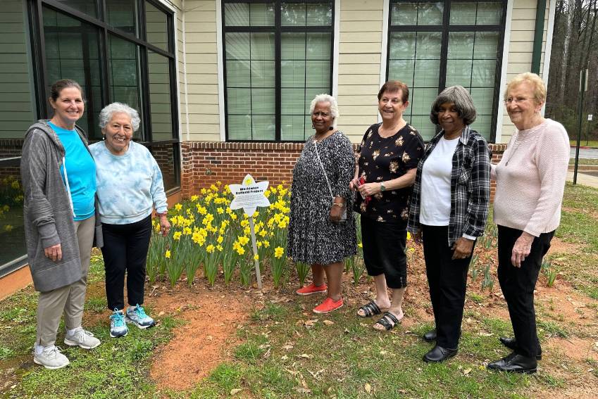 The Daffodil Project Blooms at North Cobb Senior Center