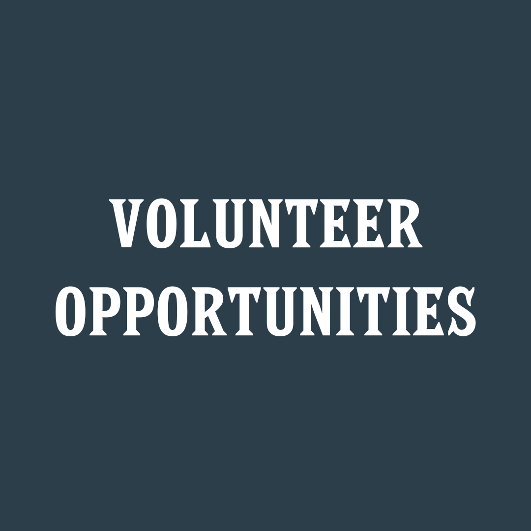 Image Volunteer Opportunities