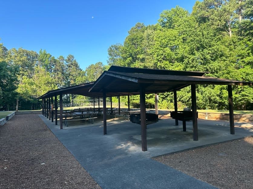 image An empty picnic shelter with multiple picnic tables under a wooden roof, surrounded by a forest on a sunny day.