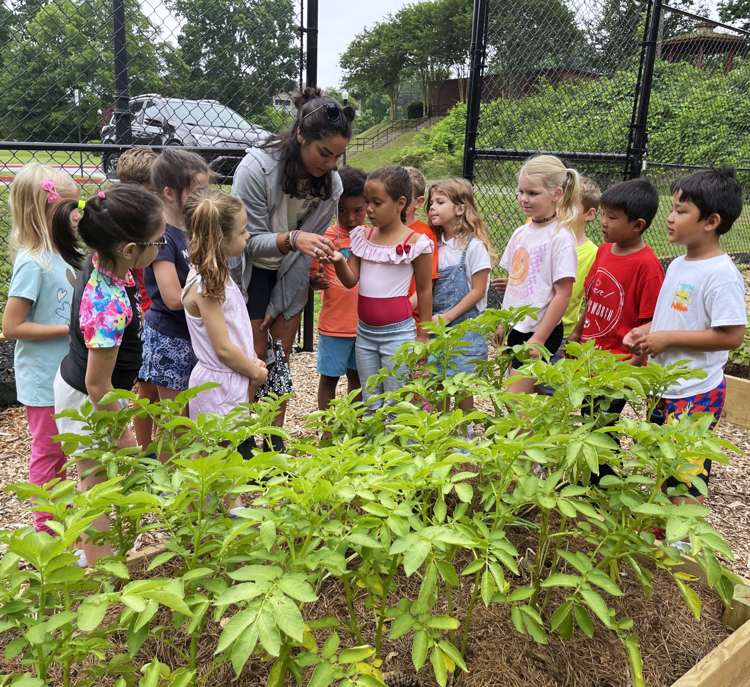 A group of young children and an adult gather around a garden bed at Acworth Community Garden, observing plants and learning about growing food outdoors near a fenced area.