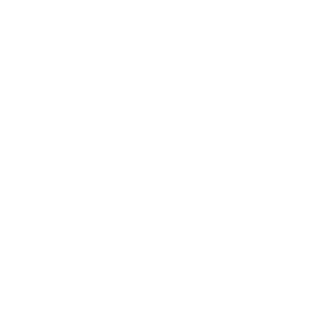 White icon of a magnifying glass with a dollar sign inside, above the words 