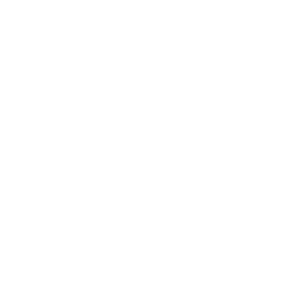 Gas South logo featuring a stylized flame icon above the words 
