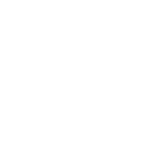 White outline of a pine tree above the words 
