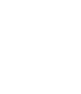 White icon of stacked coins above the words 